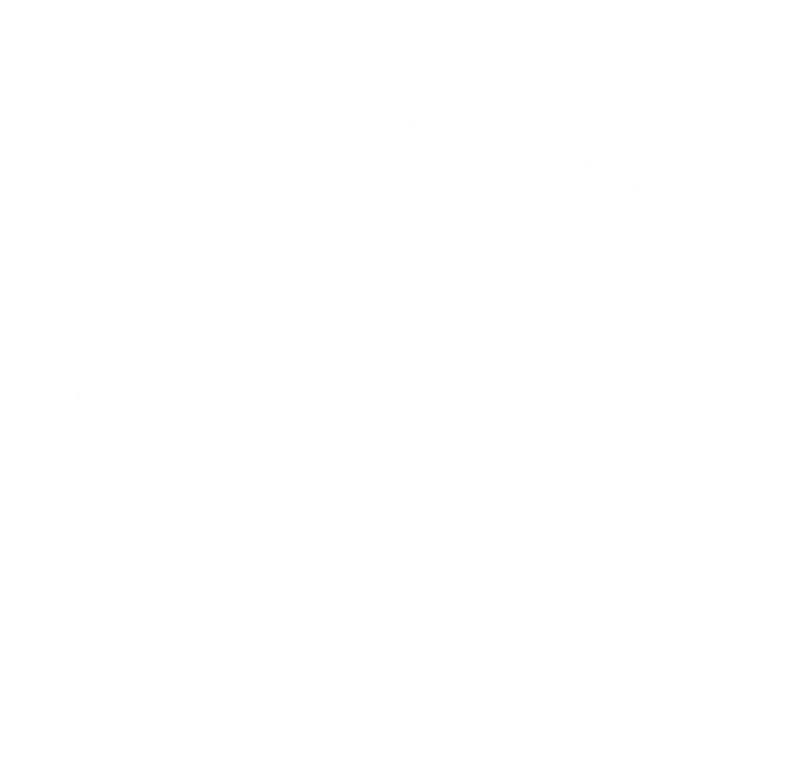 Stichting ZSAlliance